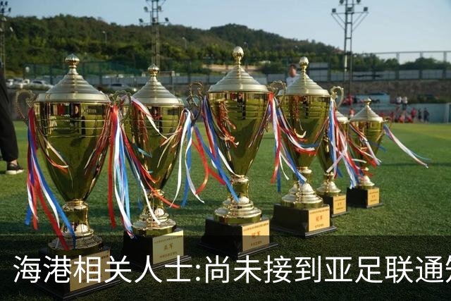 海港相关人士:尚未接到亚足联通知 不确定能否递补
